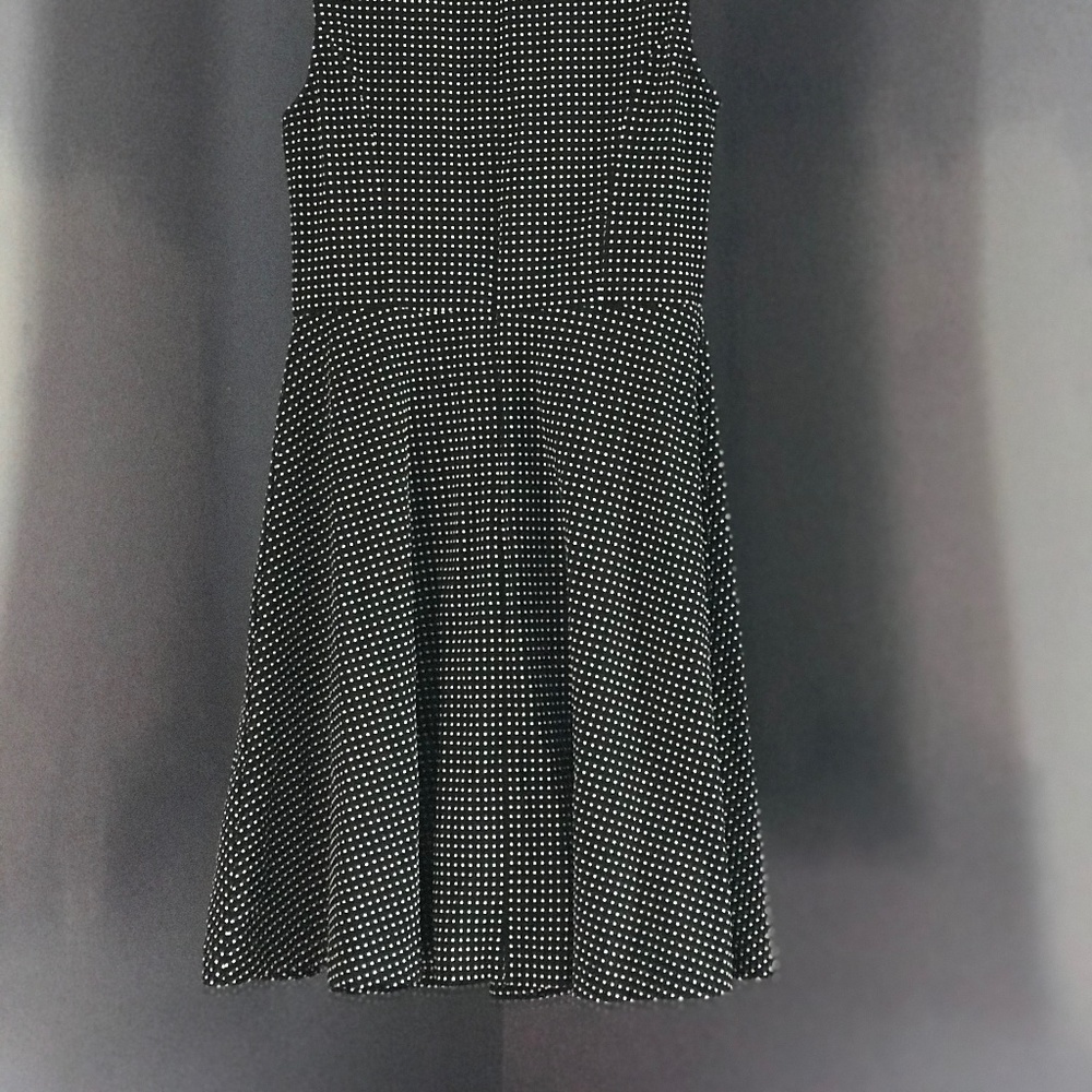 Black and White Polka Dot Dress - Picture 3 of 3